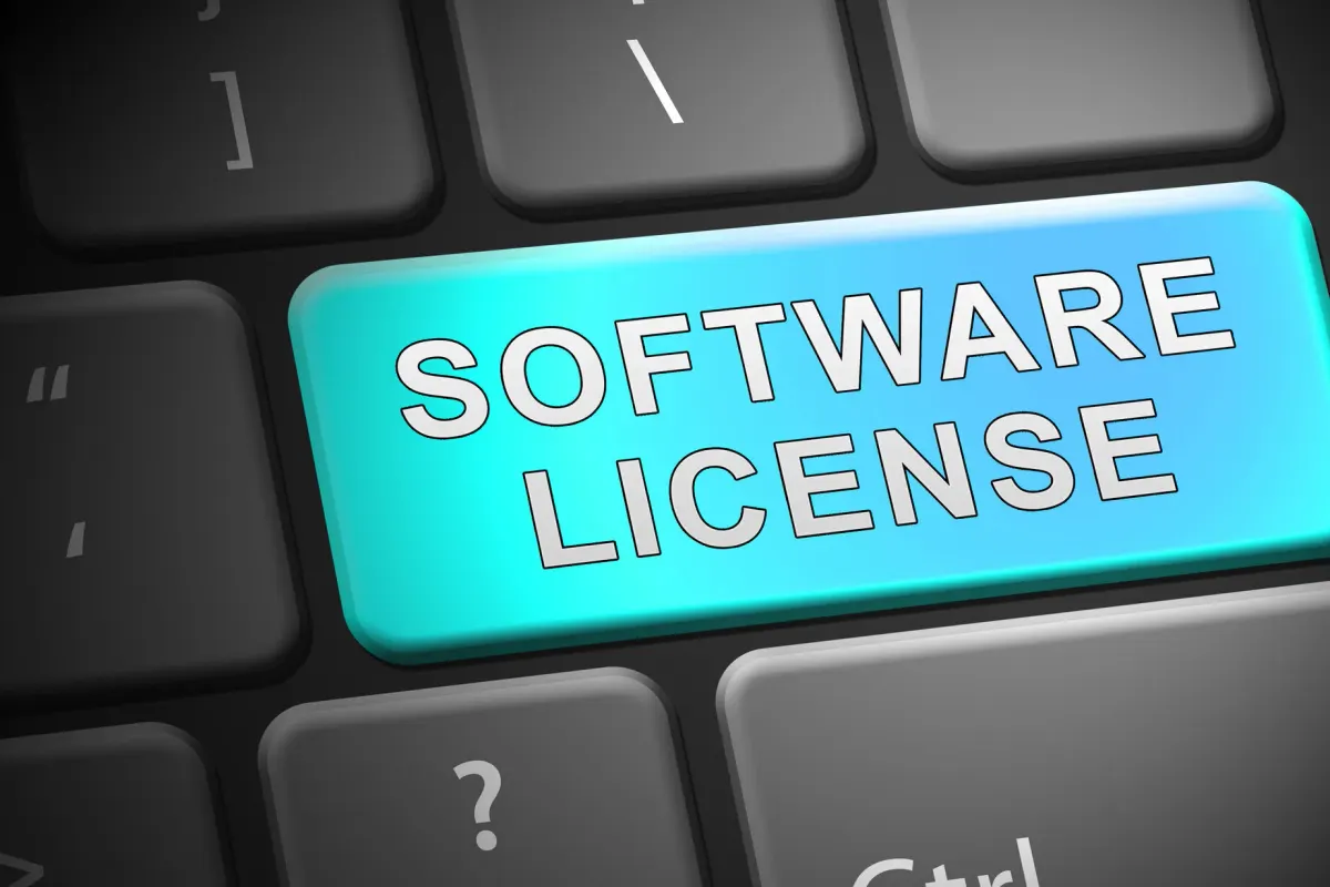 Software licensing services for businesses in the UAE